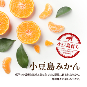みかん 小豆島みかん 柑橘 フルーツ 国産 みかん【約3kg】