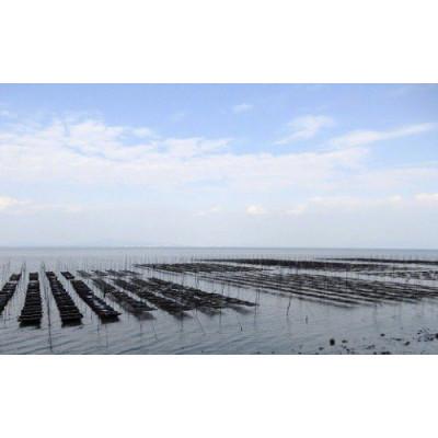 ふるさと納税 島原市 有明海産 島原のり (味付のり・8切8枚入)4袋 DE161 |  | 01