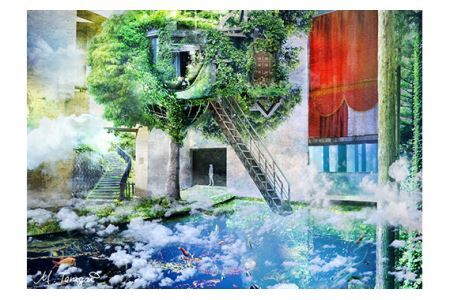 No.185 3－RA3 大阪狭山市×ローレフォト 天空のツリーハウス