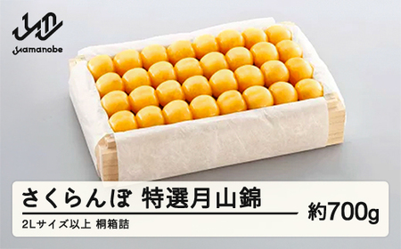 《先行予約》2026年 山形県産 特選月山錦 桐箱 約700g 2L以上 やまのべ多田耕太郎のさくらんぼ サクランボ F20A-058