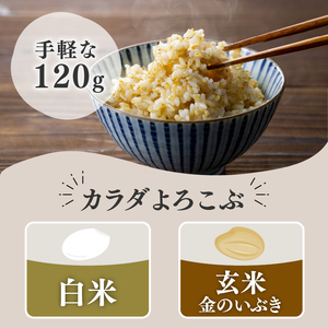 【定期便6ヶ月】金賞健康米 金のいぶき 玄米 パックご飯 120g×12個 GABA