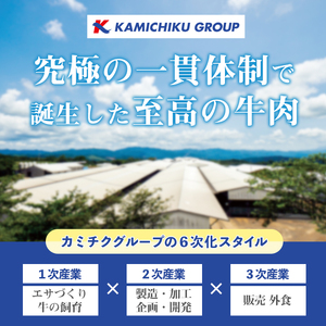 No.1100-B 自慢の自社ブランド牛「上村牛ユッケ」(12人前・40g×12P)国産 九州産 牛肉 黒毛和牛 和牛 ユッケ 生食 小分け 冷凍 ギフト 贈答 頒布会 定期便 数量限定【カミチク】