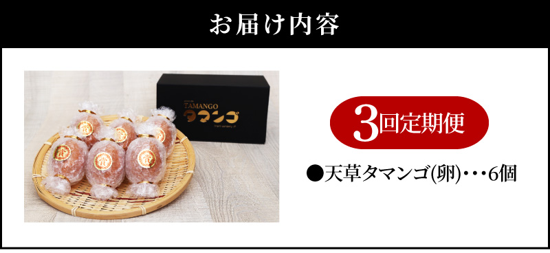 S038-T03_【定期便3回】天草 タマンゴ 6個 卵