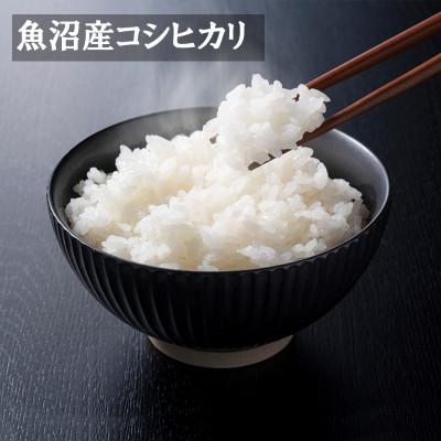 ふるさと納税 魚沼市 【令和8年産】無洗米 米農家自慢の 魚沼産 コシヒカリ 2kg×1袋 |  | 01