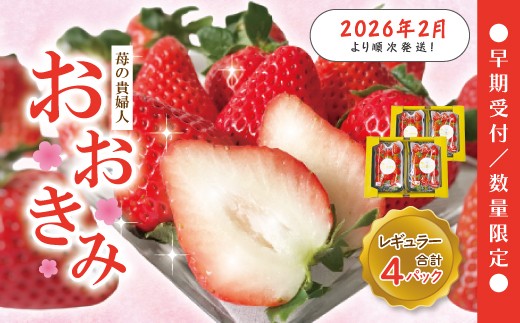 【 早期受付 数量限定 】 苺 の貴婦人 おおきみ レギュラー 4パック フルーツ 果物 いちご イチゴ ストロベリー 高級 人気 大粒 プレミアム 限定品 高知県 高知 四万十市 四万十 しまんと お取り寄せ 【2026年2月より順次発送予定】25-773