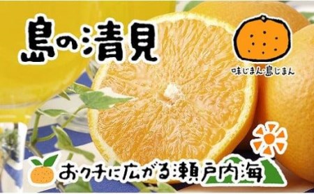 清見タンゴール 4kg 愛媛 中島産 希望の島 清見 【FT016_x】