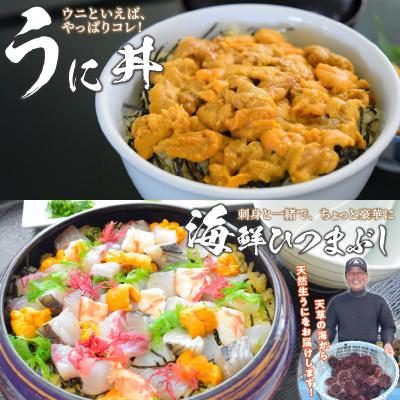 ふるさと納税 天草市 【先行受付・指定日必須】殻出し生うに(赤うに)50g×2本 うに用醤油付_S002-023 |  | 02