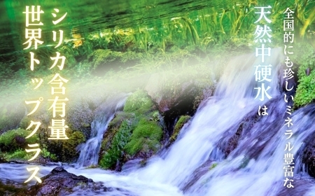 天然水 【定期便12か月コース】霧島のおいしい水2L×6本×12か月  中硬水 ミネラルウォーター