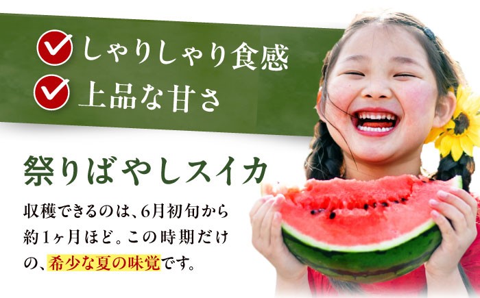 すいか スイカ 西瓜 くだもの フルーツ 果物 祭りばやし 祭り 夏 水分補給 熱中症対策 梅雨前出荷  贈答 ギフト 