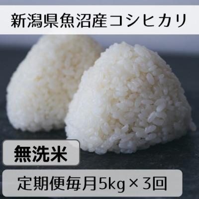 ふるさと納税 十日町市 【毎月定期便】新潟県魚沼産コシヒカリ「山清水米」無洗米5kg全3回