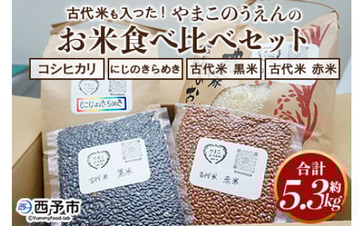 
            ＜古代米も入った！やまこのうえんのお米 4種類食べ比べセット 合計5.3kg＞ お米 コメ ご飯 ライス 穀物 こしひかり コシヒカリ にじのきらめき 古代米 黒米 赤米 食べ比べ 特産品 愛媛県 西予市【常温】
          