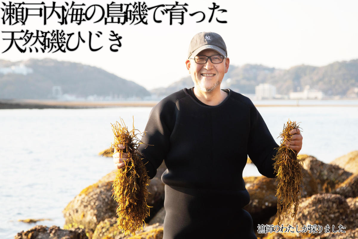 生炊きだからおいしい 瀬戸内 ひじき 28g×12袋 エビス水産【岡山 瀬戸内海 鉄釜炊 生炊 天然 乾燥】