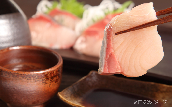 さしみ醤油500ml×3本 しょうゆ 刺身 調味料 料理 寿司 島根県雲南市/有限会社紅梅しょうゆ [AICV079]