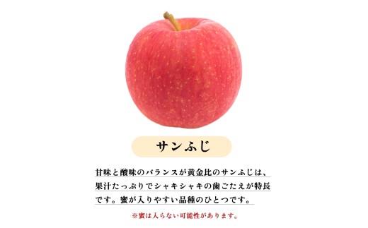 《先行予約》サンふじ 贈答用 5kg【JAかづの】●2026年11月下旬頃発送開始 鹿角産 りんご サンふじ 5kg 林檎 リンゴ 完熟 旬 県産りんご お中元 お歳暮 贈り物 お見舞い ギフト 秋田