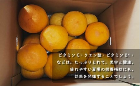 【先行受付】甘夏みかん 有機肥料栽培 約8kg[OAG001] ミカン