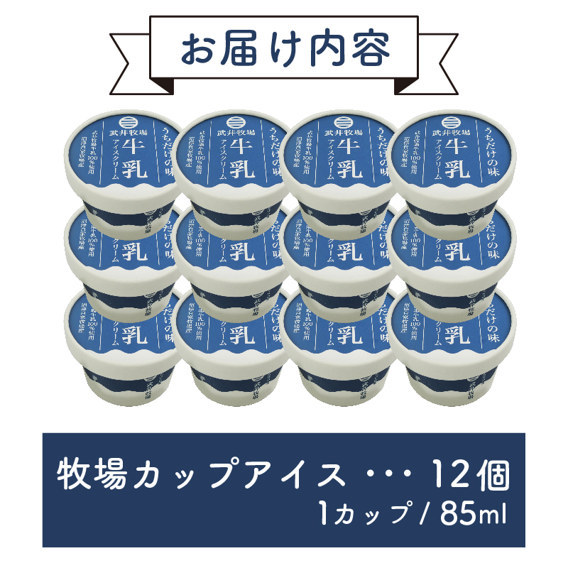 カップアイス 12個 うちだけの味 武井牧場 自家製 アイス 牧場 牛乳 アイスクリーム お土産 プレゼント ギフト 贈答 お取り寄せ スイーツ お菓子 デザート 静岡県 沼津市