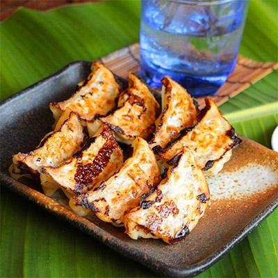 ふるさと納税 奄美市 奄美島豚(黒毛)を贅沢に使用したこだわりの奄美島豚餃子 |  | 01
