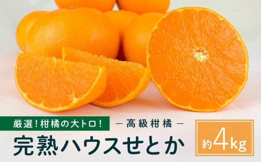 
                  柑橘の大トロ！完熟ハウスせとか  4kg2027年2月中旬～発送予定【フルーツ 人気 お取り寄せ 産地直送 もりの農園 ドルチェみかん みかん せとか 柑橘 果物 フルーツ 産地直送 人気 おすすめ 瀬戸内 広島県  尾道市】
                