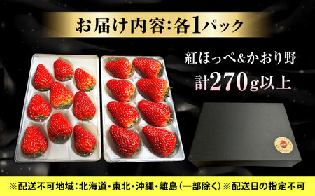 産地直送厳選「紅ほっぺ・かおり野」2パックセット（約300g）いちご イチゴ 苺 紅ほっぺ かおり野 ブランドイチゴ 人気 おすすめ ギフト　広島県福山市/びんごファーム[BAFY001]