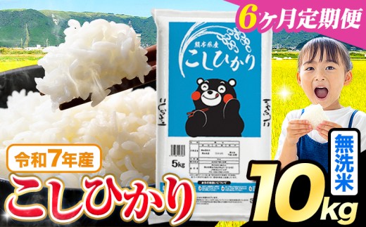 【6ヶ月定期便】令和7年産  無洗米 こしひかり 10kg(5kg×2袋)《お申込みの翌月出荷》熊本県産 ふるさと納税 無洗米 精米 ひの 米 こめ ふるさとのうぜい コシヒカリ コメ お米 おこめ