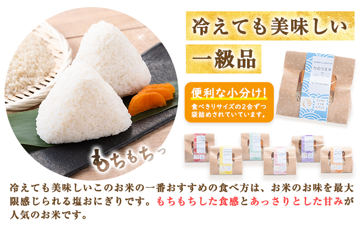 洗米 ホタルの里水越の自然栽培米 約2.1kg 300g×7袋 合同会社点天《30日以内に発送予定(土日祝除く)》洗わなくてOK 米 コメ 小分け 便利 熊本県産---mf_tnmsn6nen_24_