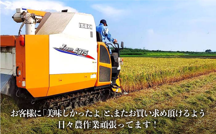 【先行予約】【令和7年度産新米】特別栽培米 早場米 コシヒカリ 10kg（10kg×1） 山口さんちの贈り物 【y'scompany】 白米 [IAS002]