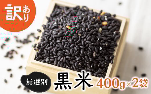 訳あり 無選別 玄米 黒米 400g×2袋セット 計800g 白川郷の古代米 黒米 もち米 紫黒米 雑穀 雑穀米 国産 岐阜県 栄養豊富 観光地応援 10000円 [S443]