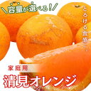 【ふるさと納税】 家庭用 清見オレンジ 2kg+60g(傷み補償分) / 3.5kg+105g(傷み補償分) / 5.5kg+165g(傷み補償分) / 7.5kg+225g(傷み補償分)【光センサー食頃出荷】【樹上完熟きよみオレンジ・清見タンゴール・清美】【訳あり】 ＜2025年2月上旬〜3月下旬ごろに順次発送＞