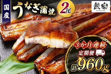 うなぎ 蒲焼 定期便 ＜計3回＞ 鰻 2尾 （計960g） 国産 ウナギ 3か月 連続 人気 ギフト 贈答品 おすすめ 小分け 宮崎県 高鍋町 名物【MR-g-006】
