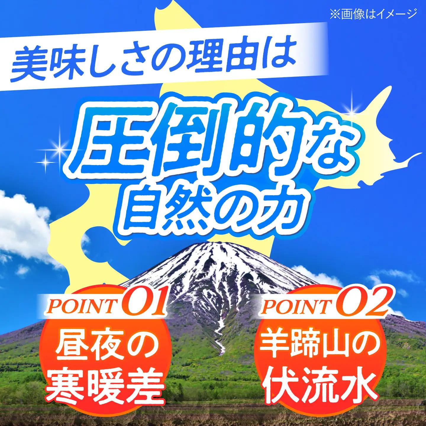 【先行予約】とうもろこし 黄 5kg  [BPAM020] とうもろこし