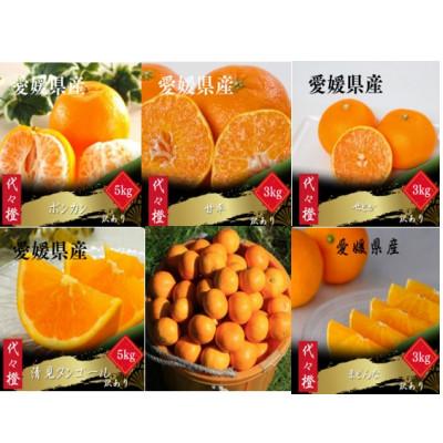 ふるさと納税 八幡浜市 【発送月固定定期便】【訳あり】みかん柑橘のある暮らし【柑橘詰め合わせ便】【H83-53】全6回