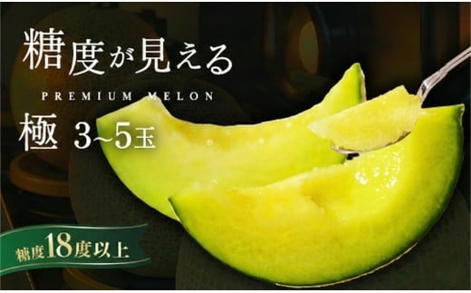 受付終了間近！ メロン めろん ＼糖度18度以上！／ 【 極 】 エルソルメロン 3～5玉  ｜メロン エルソルメロン おすすめ 人気 国産 茨城 鉾田 サングリーン旭 極 旬 プレゼント 贈り物 青肉 青 果物 5月以降発送