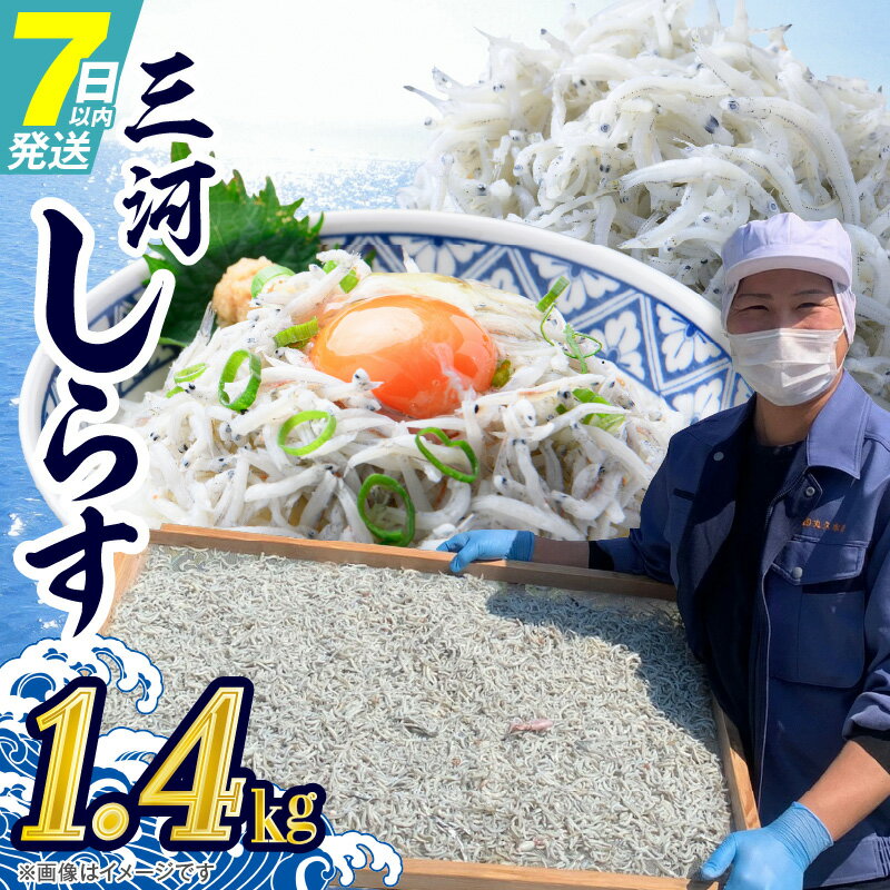 【ふるさと納税】しらす しらす干し 1400g お歳暮 贈答用 ギフト 丸久水産 ふんわりふわふわ