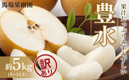 【訳あり】【馬場果樹園】梨「豊水」約5kg（8～14玉入）9月初旬～順次発送