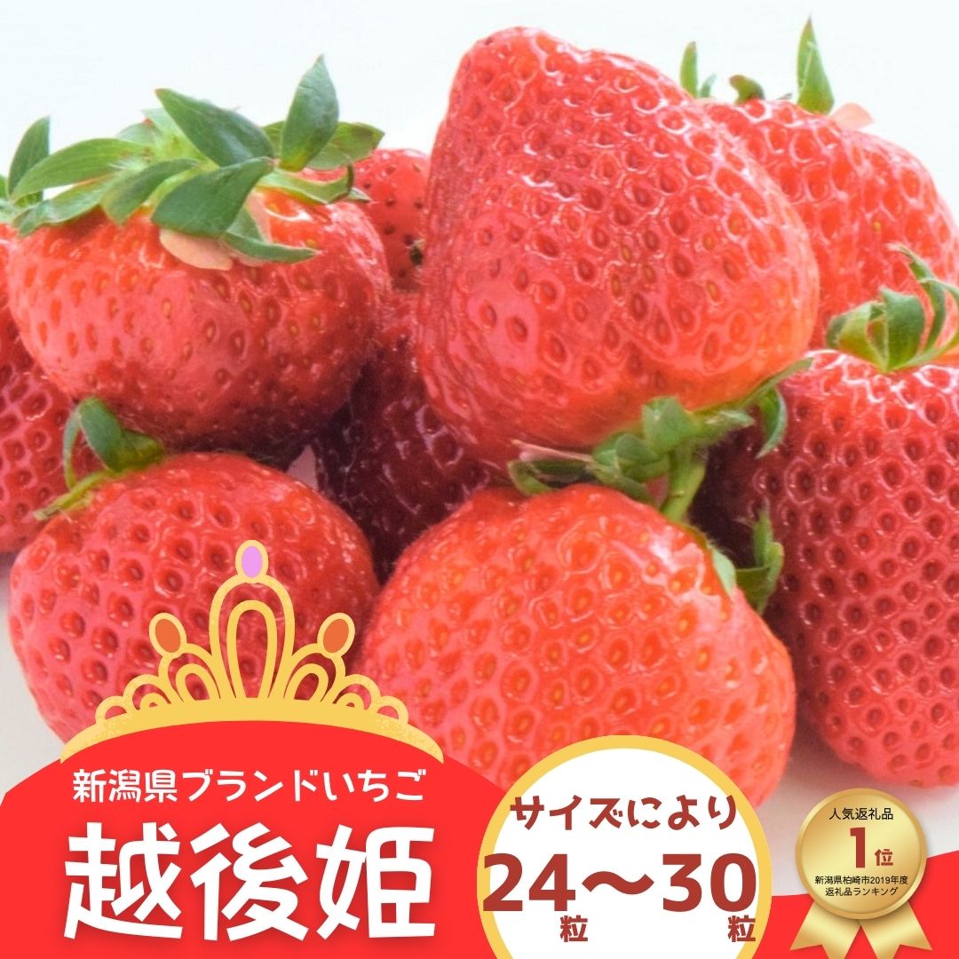 【ふるさと納税】【期間・数量限定】越後姫 24～30粒 甘くてジューシー！新潟ブランドいちご ファームくじらなみより直送[ZB360]【 新潟県 柏崎市 】