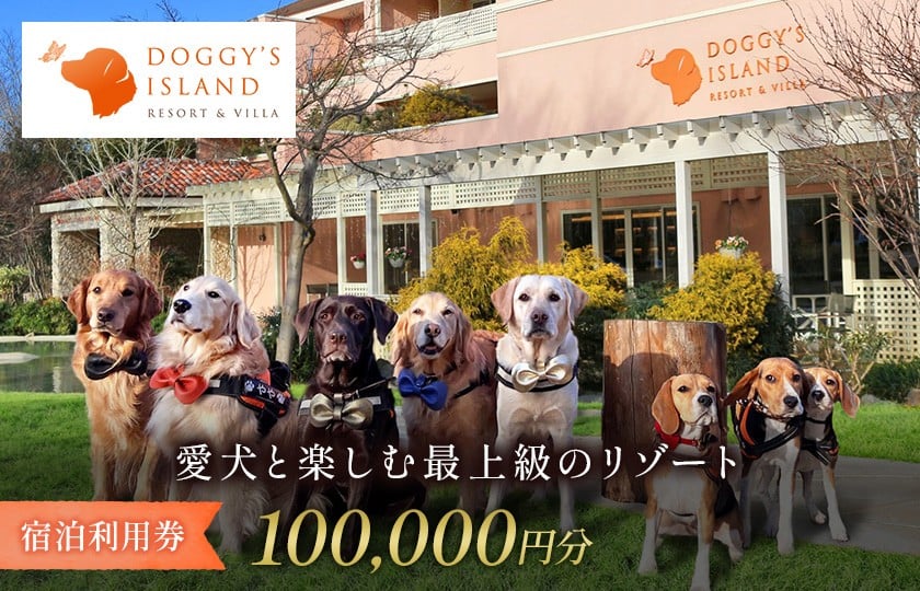 
            小谷流の里 ドギーズアイランド 宿泊利用券 10万円分 愛犬 と 泊まれる リゾート ホテル  ドッグラン完備 小型犬 から 中型犬 ・ 大型犬 まで楽しめる ペットと泊まれる宿 ドッグリゾート 東京から車で最速55分  千葉県八街市
          