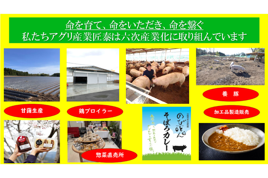 豚肉 切り落とし 宮崎県産 豚 切り落し 500g × 10 計5kg [アグリ産業匠泰 宮崎県 美郷町 31be0035] 肉 冷凍 ぶた肉 ぶた 小分け 個包装 切り落とし_イメージ2