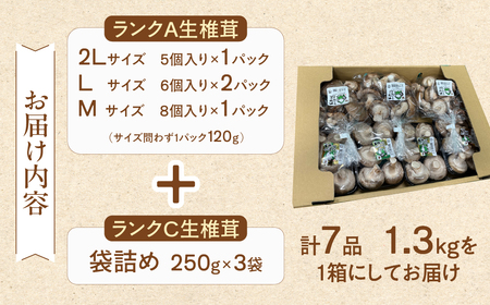  菌床生椎茸  詰め合せセット（4パック＋3袋）7品  計1.3kg 【119-1】