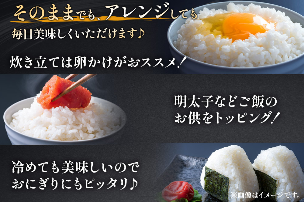 《1回のみお届け》令和7年産【白米】 サキホコレ2kg・土づくり実証米ひとめぼれ2kg (各2kg×1袋：計4kg)  精米 特A評価米 秋田県産