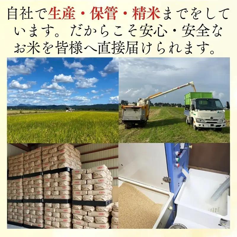 令和8年産 先行予約 新潟県 上越市産米 こしいぶき 【隔月配送】 定期便 5kg×3回 計15kg 3か月 新米 精米 米ヴィレッジさんわ 上越市三和区