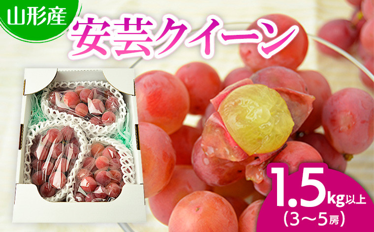 
            山形市本沢ぶどう安芸クイーン 1.5kg以上(3～5房) 【令和7年産先行予約】FU22-789 フルーツ くだもの 果物 山形 山形県 山形市 ぶどう 葡萄 ブドウ
          