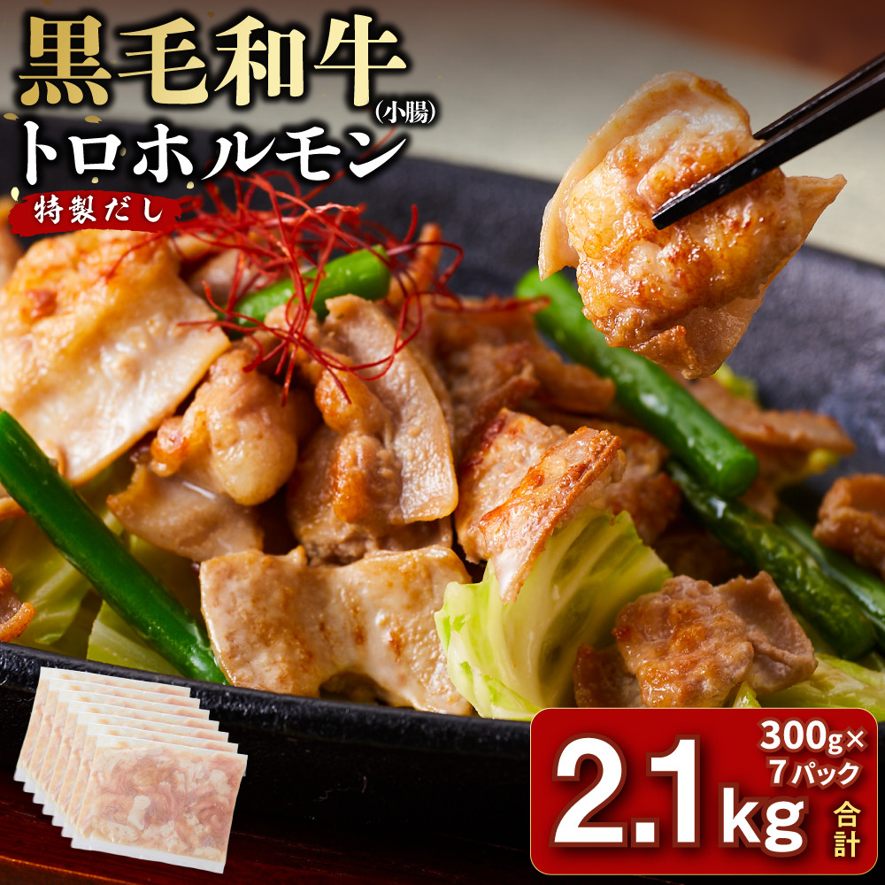 黒毛和牛トロホルモン（小腸）　特製だし2.1kg ( 300g × 7パック )【2026年11月発送】【kw0096-0062-11】