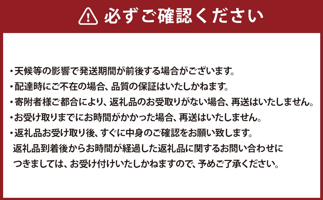 《母の日》 マスクメロン1玉とカーネーション1鉢