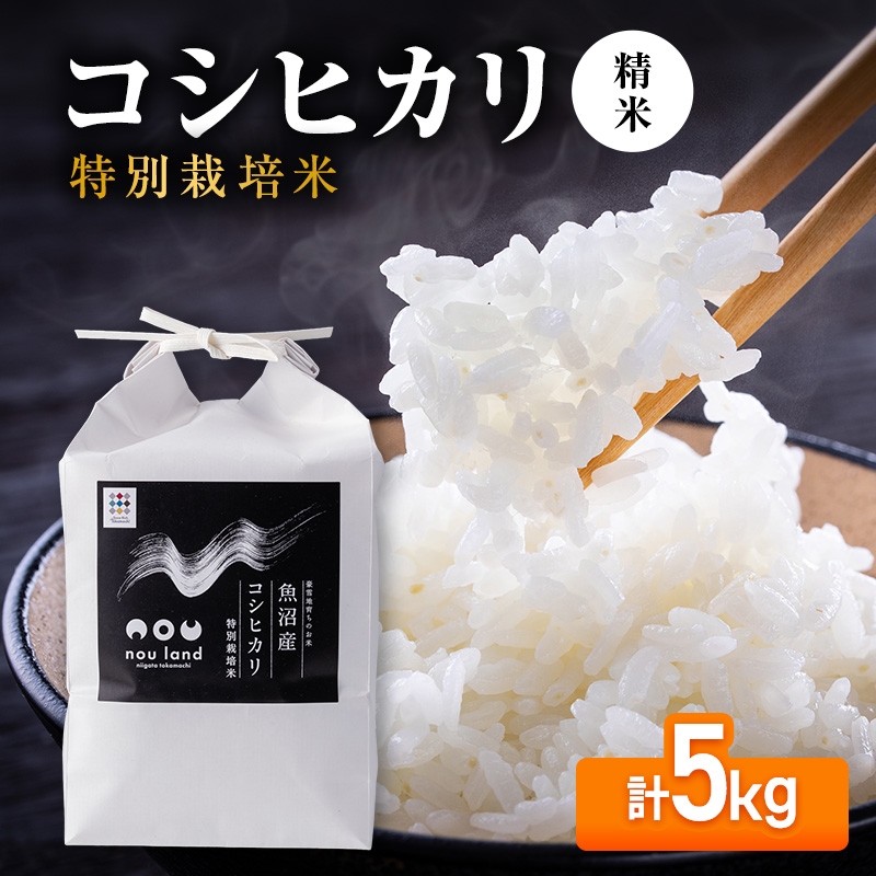 
                  【先行予約】令和8年産 コシヒカリ 特別栽培 精米5kg
                