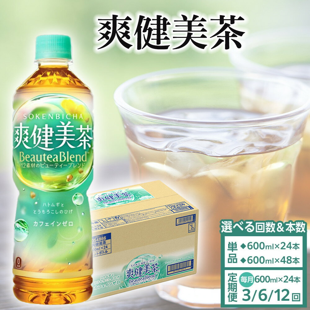 【ふるさと納税】コカ・コーラ 爽健美茶 600ml 選べる本数 24本 or 48本 | コカコーラ 茶 お茶 おちゃ ペットボトル PET 飲料 飲み物 ドリンク 人気 おすすめ 送料無料 お取り寄せ そうけんびちゃ 和歌山県 海南市