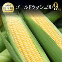 【ふるさと納税】【令和7年発送】政岡さんちのスイートコーン『ゴールドラッシュ90』9kg - 先行予約 数量限定 期間限定 2025年発送 とうもろこし スイートコーン 朝どれ 農家直送 九州産 宮崎県産 川南町産 送料無料 D06503