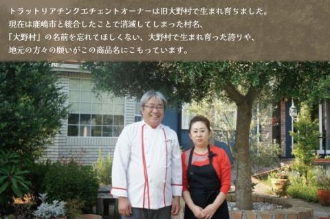 【数量限定】【先行予約】【7月～９月発送】いちじく大野村 (バナーネ) 12個入 フルーツ　果物（KAE-4）
