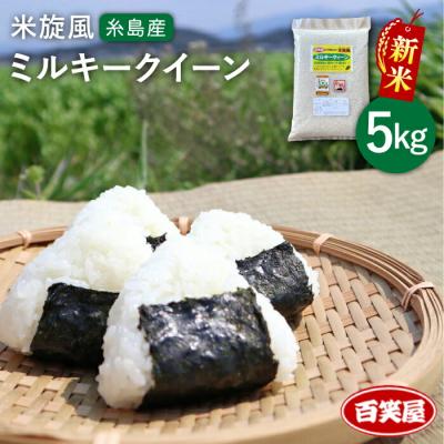 ふるさと納税 糸島市  【 栽培期間中農薬不使用 】米旋風 ミルキークイーン 5kg 糸島[ABF001]