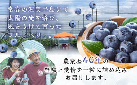 完熟　ブルーベリー　500g　2025年発送　先行予約