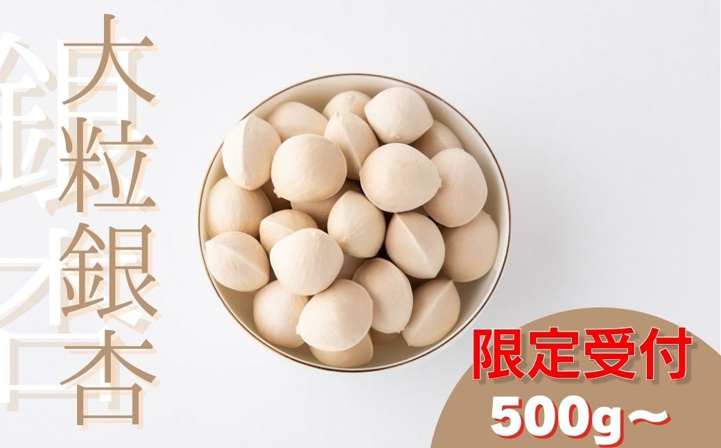 
【数量限定】北本産 大粒銀杏（殻付き） 500g ～ 約 1kg ( 500g × 2袋 ) 金子果樹園 | 埼玉県 北本市 銀杏 ぎんなん ギンナン 2024 3L 大粒 秋 旬 秋の味覚 ぎんなん おつまみ 簡単 調理 電子レンジ 茶碗蒸し 混ぜご飯
